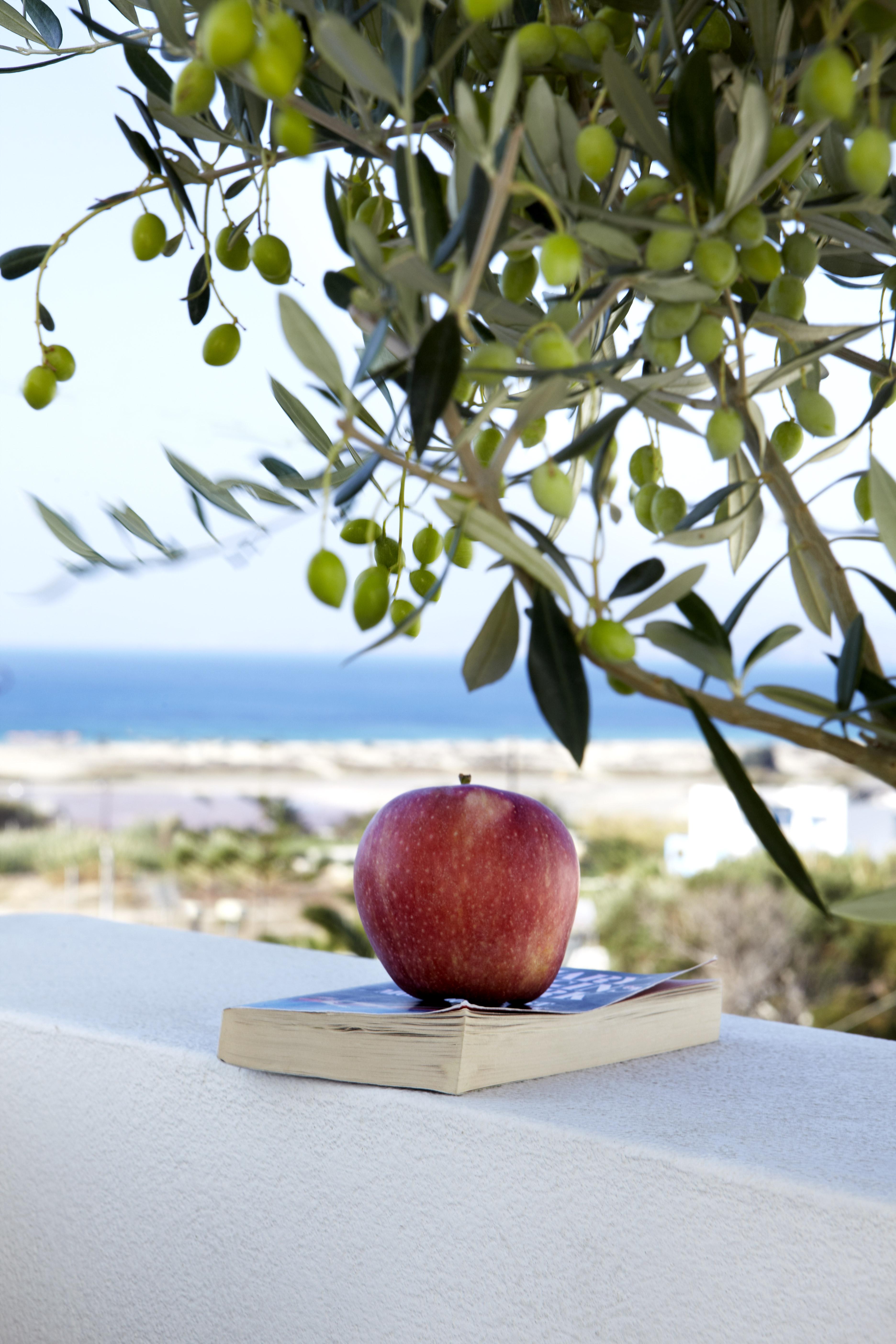 Mitos Suites Agios Prokopios  Esterno foto